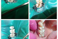 Tenemos refacciones de diferentes modelos y años, así como accesorios. 